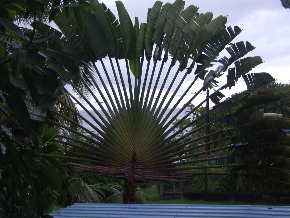 Bluebelize B&B Punta Gorda Exteriör bild