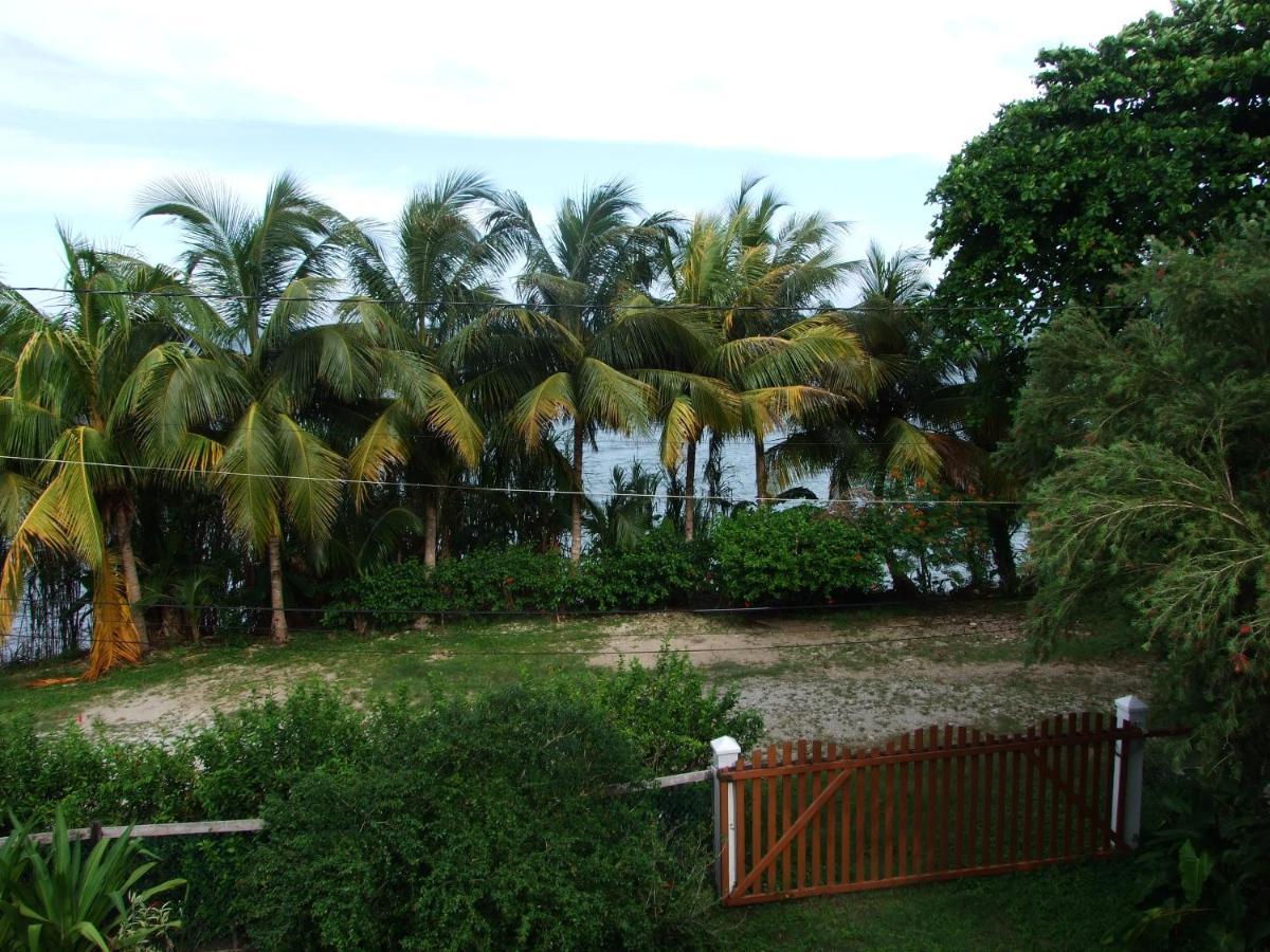 Bluebelize B&B Punta Gorda Exteriör bild