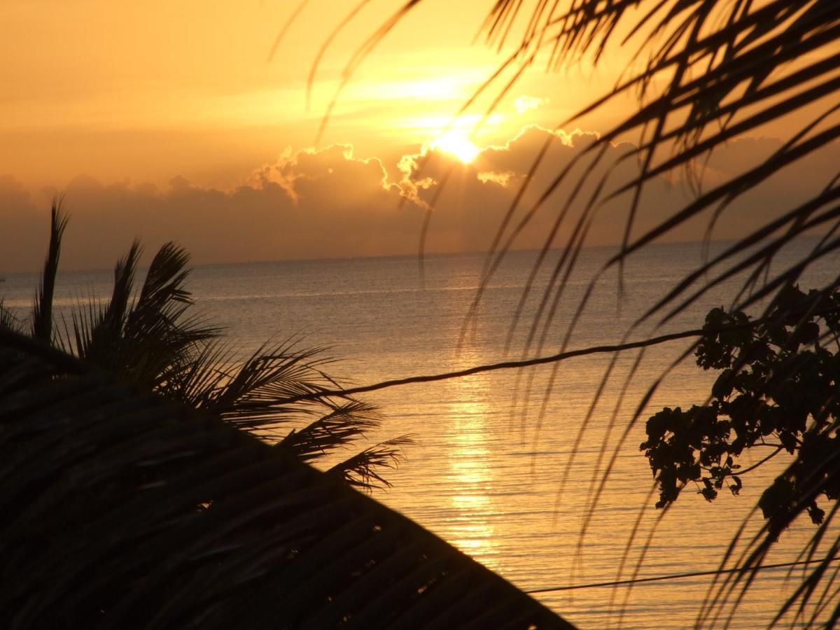 Bluebelize B&B Punta Gorda Exteriör bild