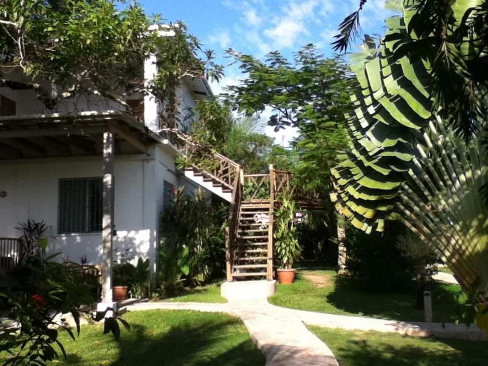 Bluebelize B&B Punta Gorda Exteriör bild